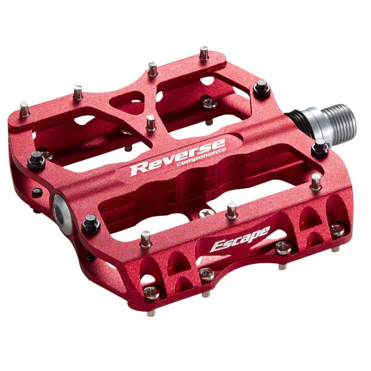 colnago rennrad modelle Colnago G4X Gravelbike PIGR main image 0