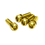 {"description"=>"disc brake caliper bolts, M6x18, 4/pack", "color"=>"gold"}