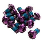 {"description"=>"Torx-T25 rotor bolts", "color"=>"purple", "package"=>"12/count"}