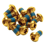 {"description"=>"Torx-T25 rotor bolts", "color"=>"gold", "package"=>"12/count"}